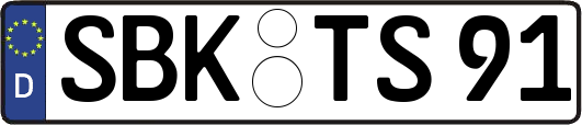 SBK-TS91