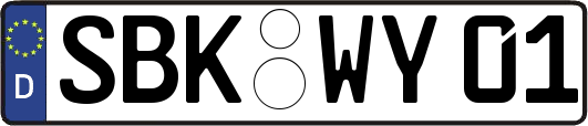 SBK-WY01