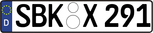SBK-X291