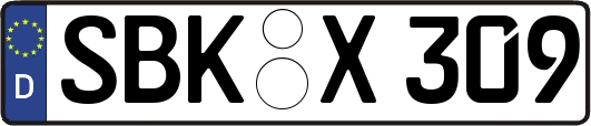SBK-X309