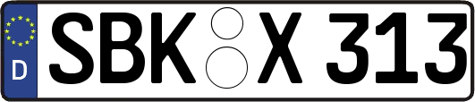 SBK-X313