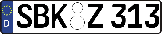 SBK-Z313