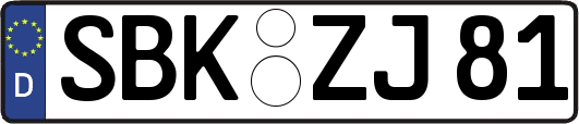 SBK-ZJ81