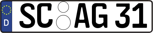 SC-AG31