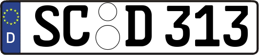 SC-D313