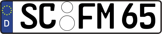SC-FM65