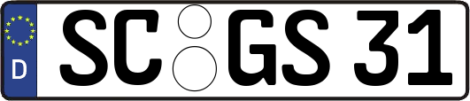 SC-GS31