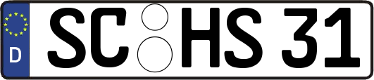 SC-HS31