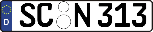 SC-N313