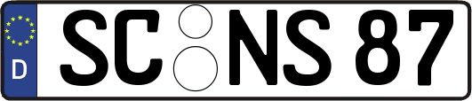 SC-NS87