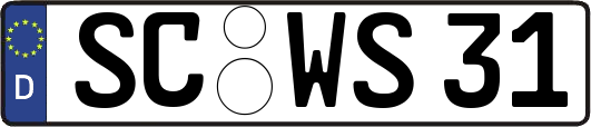 SC-WS31