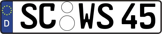 SC-WS45