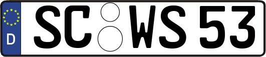SC-WS53