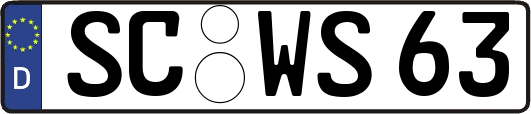SC-WS63