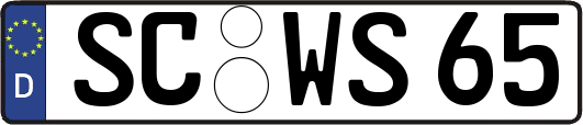 SC-WS65