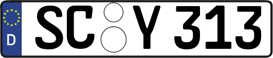 SC-Y313