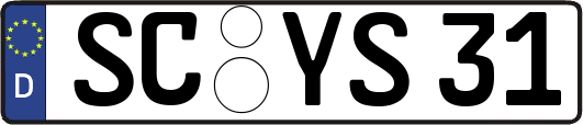 SC-YS31