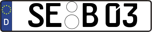 SE-B03