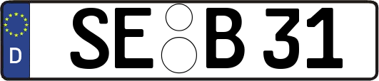 SE-B31