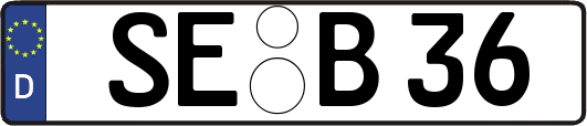 SE-B36