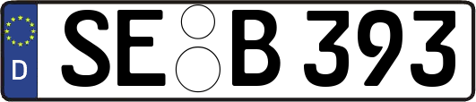 SE-B393