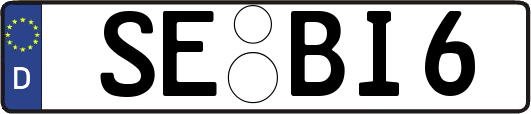 SE-BI6