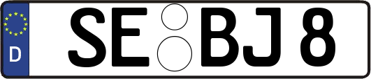SE-BJ8