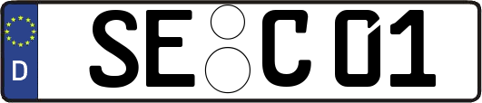 SE-C01