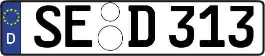 SE-D313