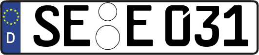 SE-E031