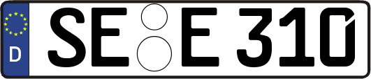 SE-E310