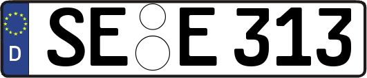 SE-E313