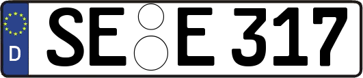 SE-E317