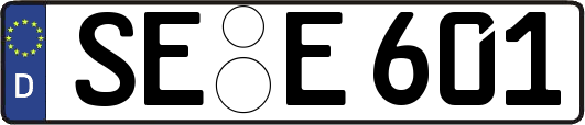 SE-E601