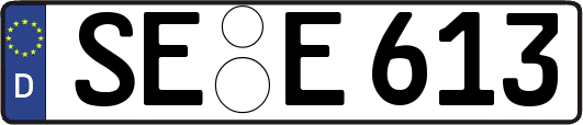 SE-E613