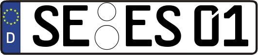 SE-ES01