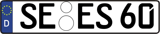 SE-ES60