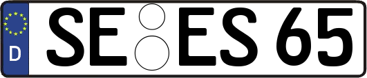 SE-ES65