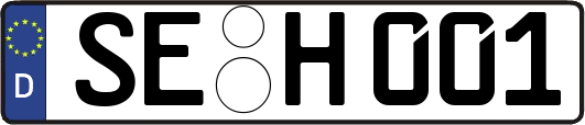 SE-H001