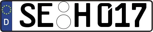 SE-H017