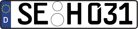 SE-H031