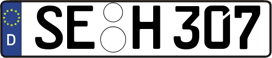 SE-H307