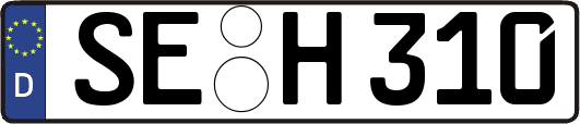 SE-H310