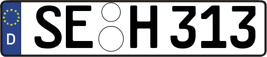 SE-H313