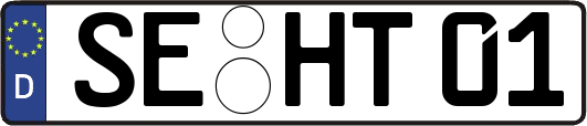 SE-HT01