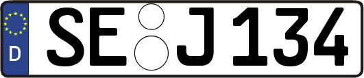 SE-J134