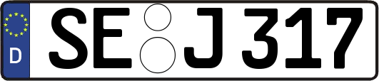 SE-J317