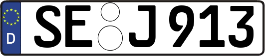 SE-J913