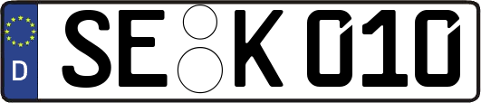 SE-K010