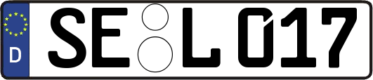 SE-L017